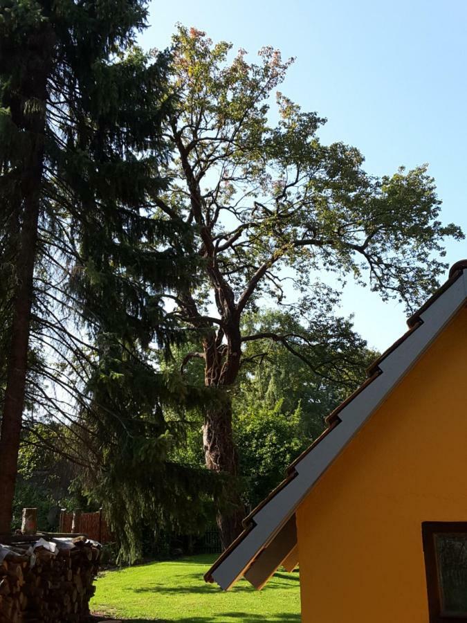Bleichehof Βίλα Burg  Εξωτερικό φωτογραφία
